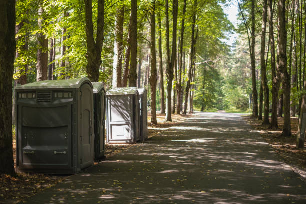 Best Affordable portable toilet rental  in Chillum, MD